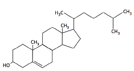 Cholesterol molecular 2D model