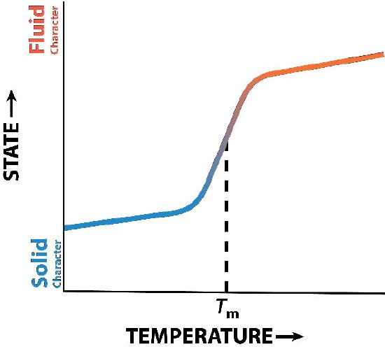 Graph showing how the membrane changes from solid to liquid once the temperature reaches the value Tm.