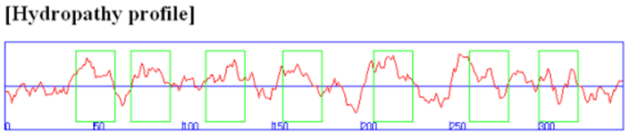 Rhodopsin hydropathy plot.