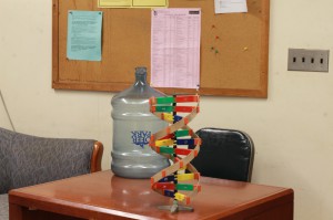 The same DNA model, but zoomed in more. The different parts can be easily distinguished.