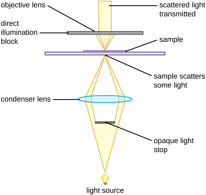 Darkfield microscope components.
