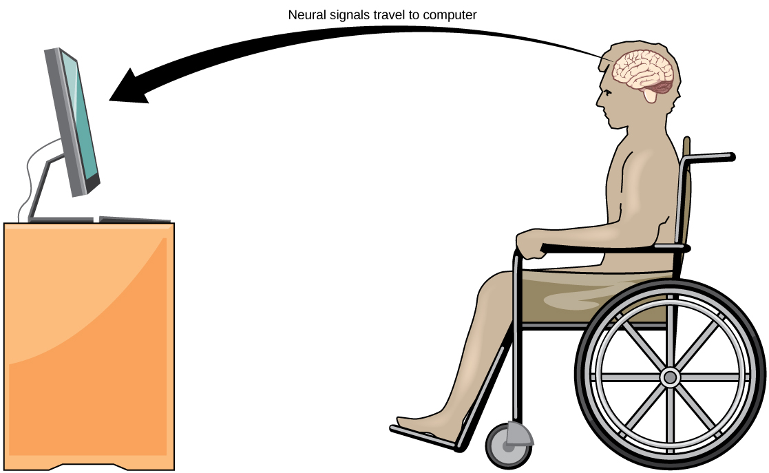 Diagram showing how neural signals can be collected by brain-computer interface technology.