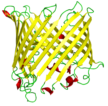 18-strand β barrel 3D model.