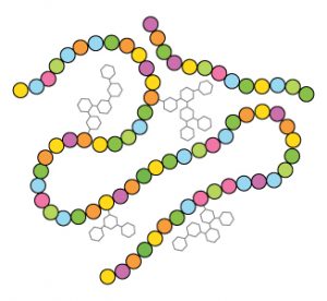 Post-glycosylation illustration