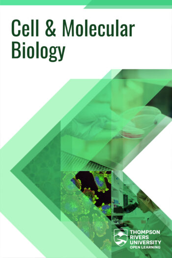 Cover image for Cell & Molecular Biology